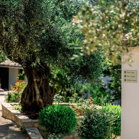 וילה Nissaki Olive Press